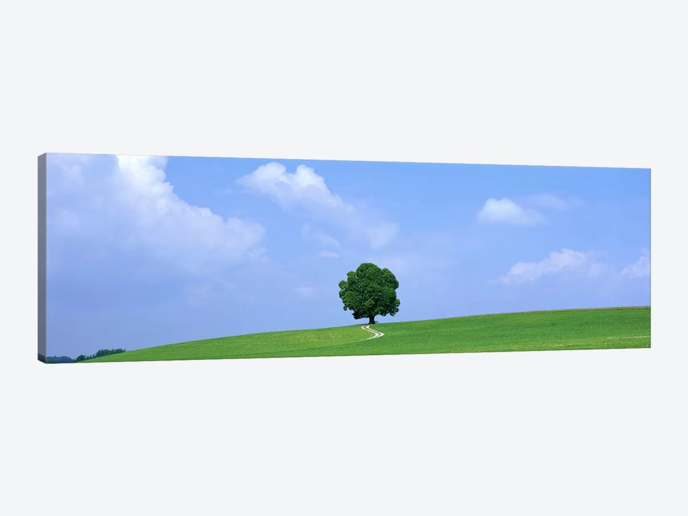 Lone Tree on Hilltop Salzkammergut Austria by Panoramic Images 1-piece Canvas Art