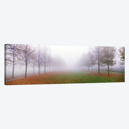 Trees in Fog Schleissheim Germany Canvas Print #PIM3896} by Panoramic Images Canvas Artwork