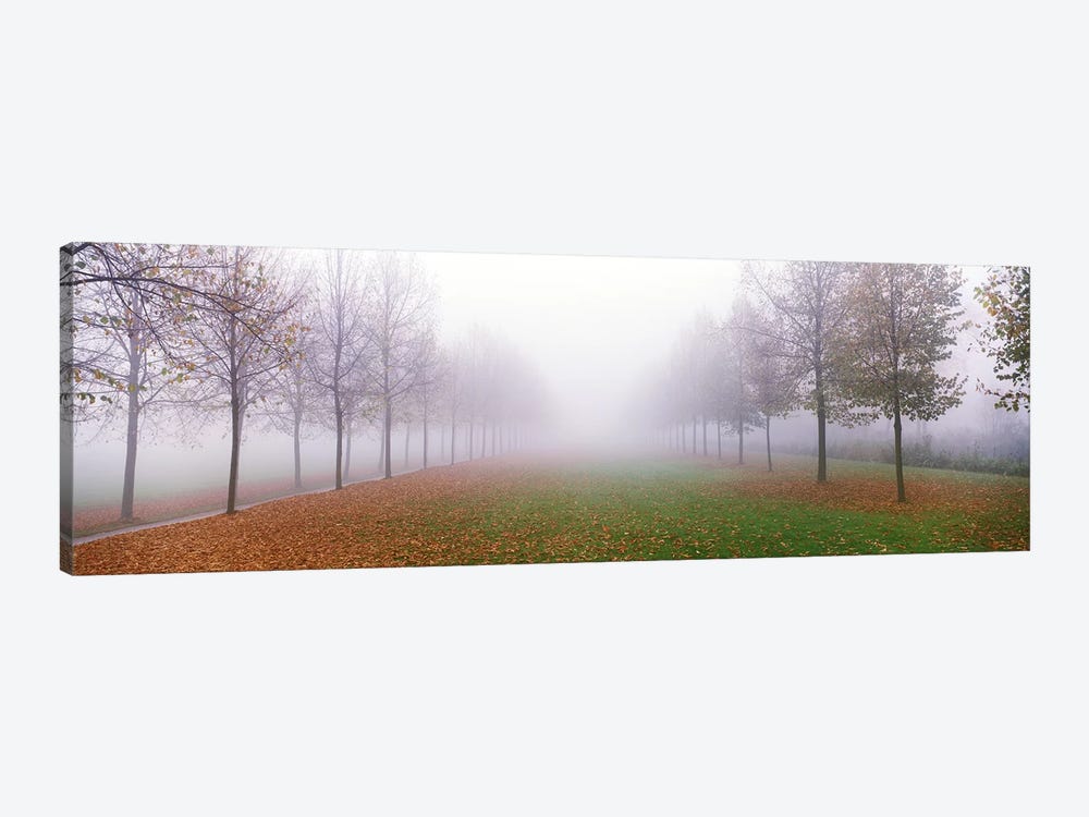 Trees in Fog Schleissheim Germany by Panoramic Images 1-piece Canvas Art
