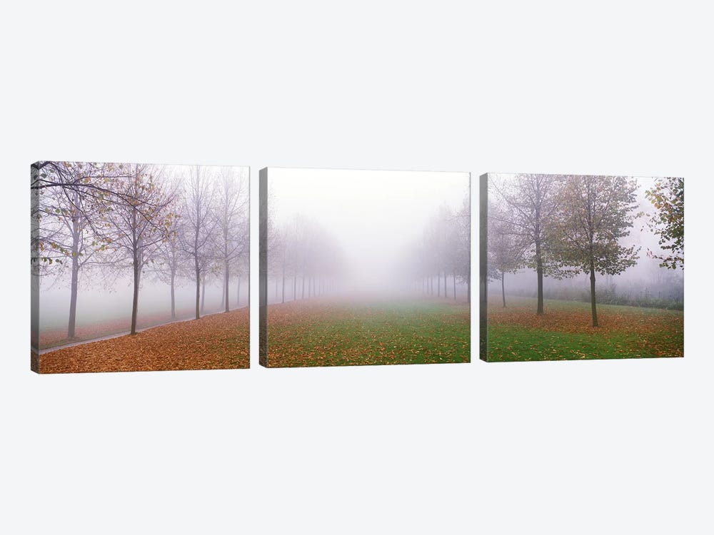Trees in Fog Schleissheim Germany by Panoramic Images 3-piece Canvas Artwork