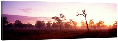 Kakadu National Park Northern Territory Australia Canvas Art Print