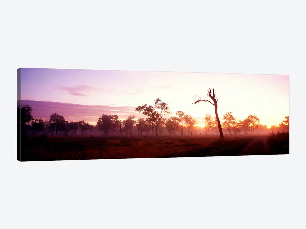 Kakadu National Park Northern Territory Australia by Panoramic Images 1-piece Canvas Artwork