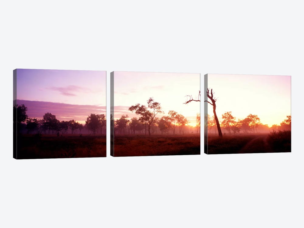 Kakadu National Park Northern Territory Australia by Panoramic Images 3-piece Canvas Artwork