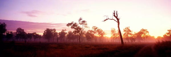 Northern Territory: Kakadu National Park Northern Territory Australia by Panoramic Images