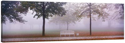 Trees and Bench in Fog Schleissheim Germany Canvas Art Print - Mist & Fog Art