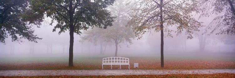 Trees and Bench in Fog Schleissheim Germany