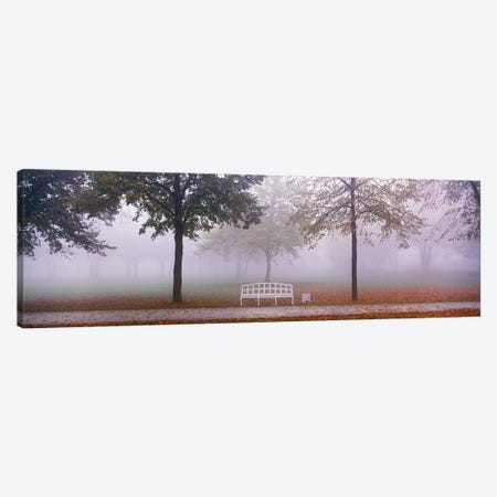 Trees and Bench in Fog Schleissheim Germany Canvas Print #PIM3902} by Panoramic Images Canvas Print
