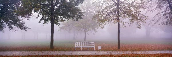 Mist & Fog: Trees and Bench in Fog Schleissheim Germany by Panoramic Images