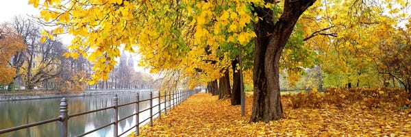 Germany: Autumn Scene Munich Germany by Panoramic Images