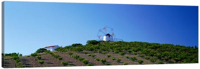 Windmill Obidos Portugal Canvas Art Print - Panoramic Photography