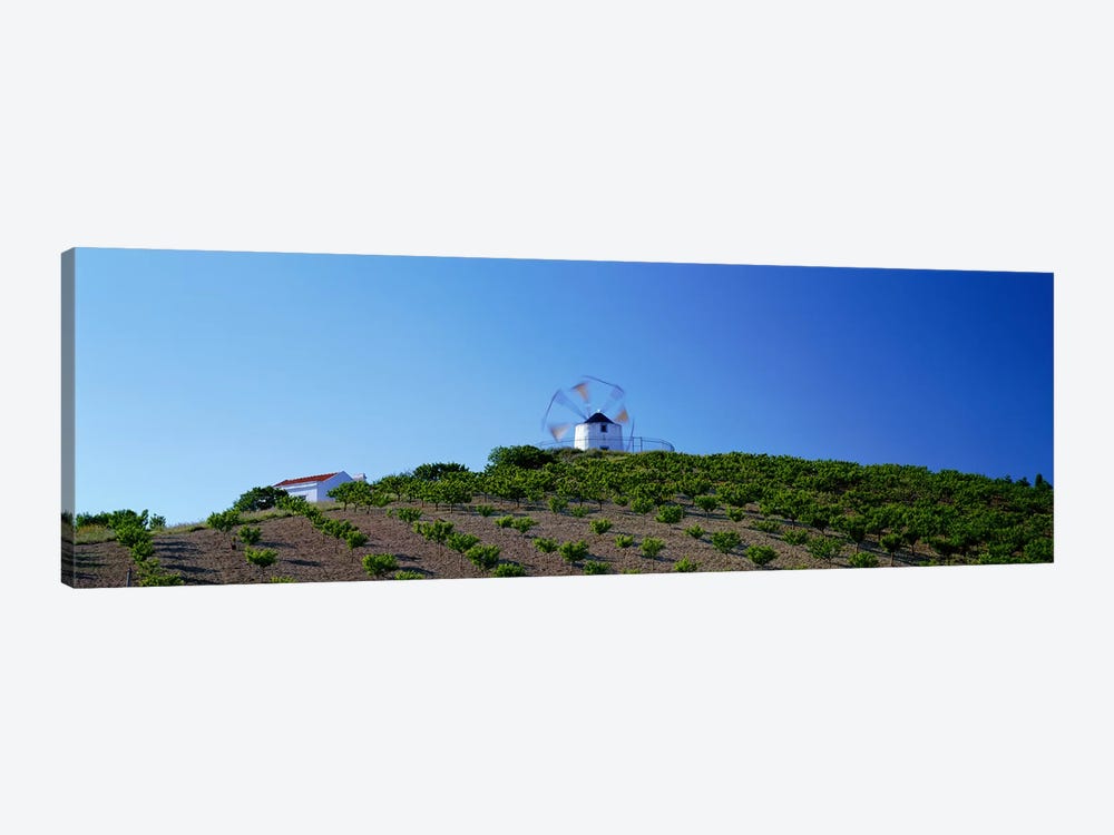 Windmill Obidos Portugal by Panoramic Images 1-piece Art Print