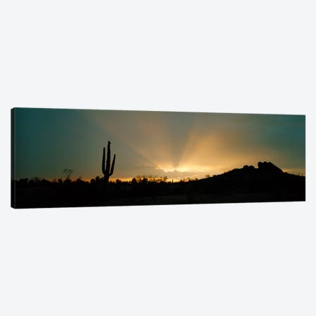 Desert Sunbeams, Near Phoenix, Arizona, USA Canvas Print #PIM3918} by Panoramic Images Canvas Art