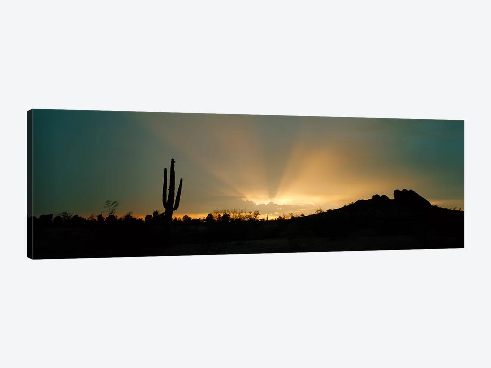 Desert Sunbeams, Near Phoenix, Arizona, USA by Panoramic Images 1-piece Canvas Art Print