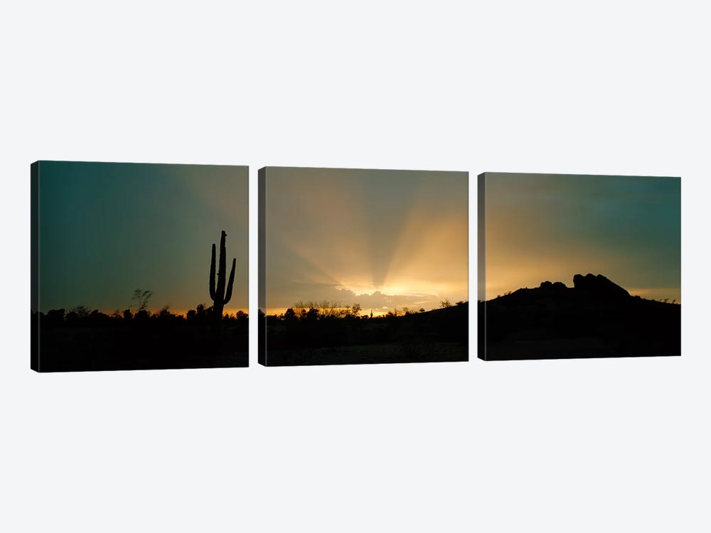 Desert Sunbeams, Near Phoenix, Arizona, USA by Panoramic Images 3-piece Canvas Print