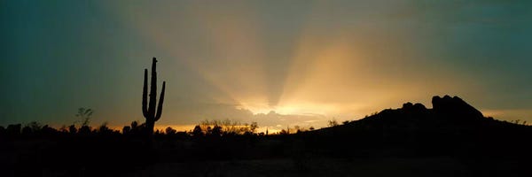 Desert: Desert Sunbeams, Near Phoenix, Arizona, USA by Panoramic Images