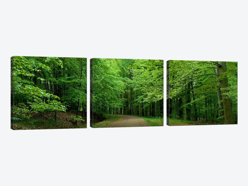 Road Through a Forest near Kassel Germany by Panoramic Images 3-piece Canvas Wall Art