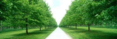 Avenue at Chateau de Modave Ardennes Belgium by Panoramic Images canvas print