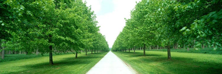Avenue at Chateau de Modave Ardennes Belgium by Panoramic Images wall art