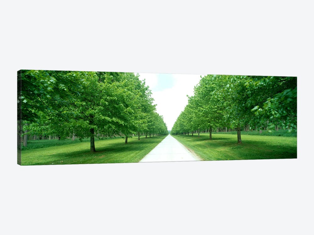 Avenue at Chateau de Modave Ardennes Belgium by Panoramic Images 1-piece Canvas Wall Art