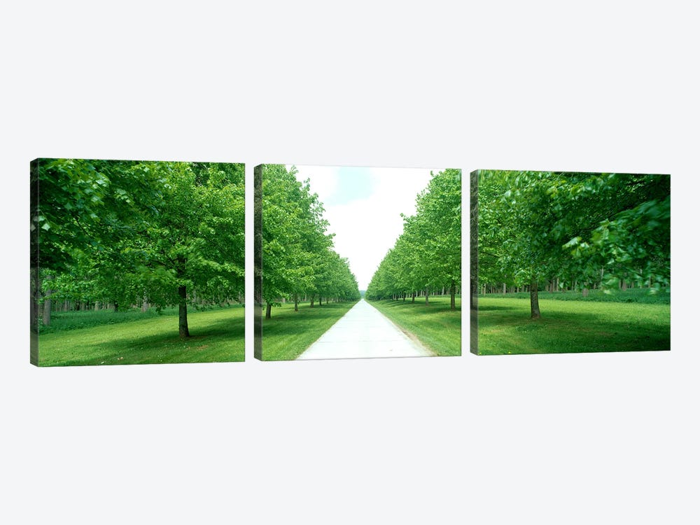 Avenue at Chateau de Modave Ardennes Belgium by Panoramic Images 3-piece Canvas Wall Art