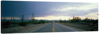 Desert Road near Tucson Arizona USA Canvas Art Print - Desert Landscape Photography