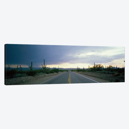 Desert Road near Tucson Arizona USA Canvas Print #PIM3922} by Panoramic Images Art Print