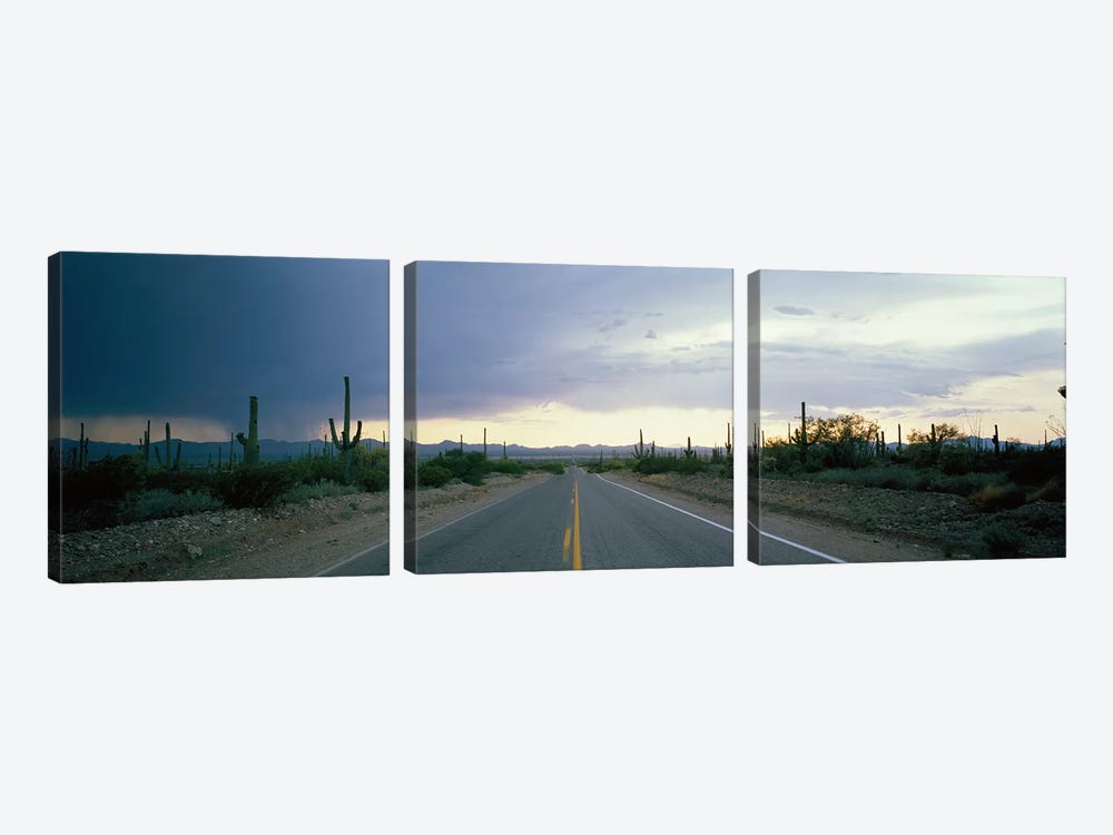 Desert Road near Tucson Arizona USA by Panoramic Images 3-piece Canvas Artwork