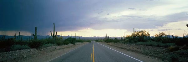 Tucson: Desert Road near Tucson Arizona USA by Panoramic Images