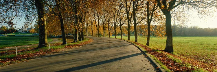 Road at Chateau Chambord France