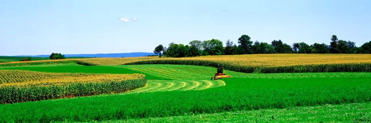 A Combine Harvesting The Crop, Frederick County, Maryland, USA