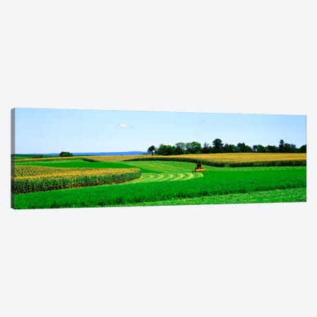 A Combine Harvesting The Crop, Frederick County, Maryland, USA Canvas Print #PIM394} by Panoramic Images Art Print