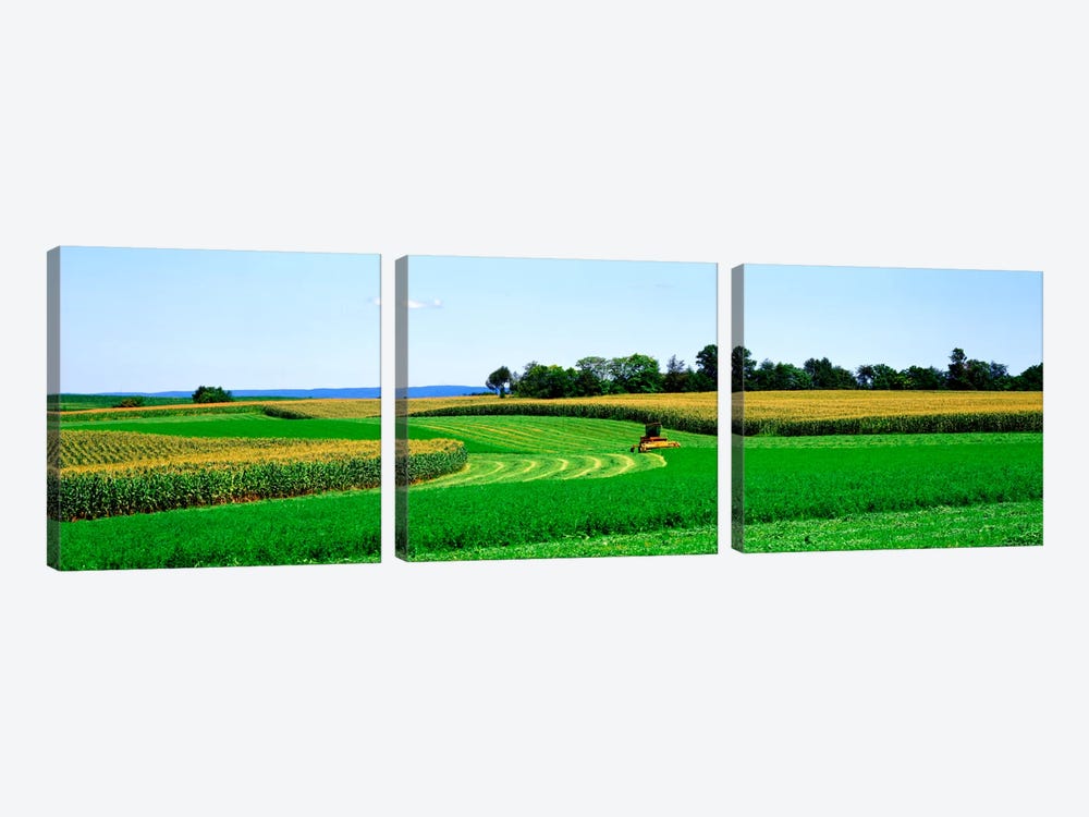 A Combine Harvesting The Crop, Frederick County, Maryland, USA by Panoramic Images 3-piece Art Print