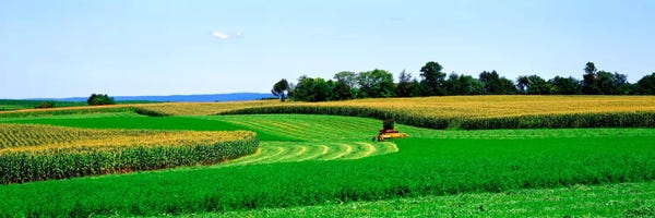 A Combine Harvesting The Crop, Frederick County, Maryland, USA