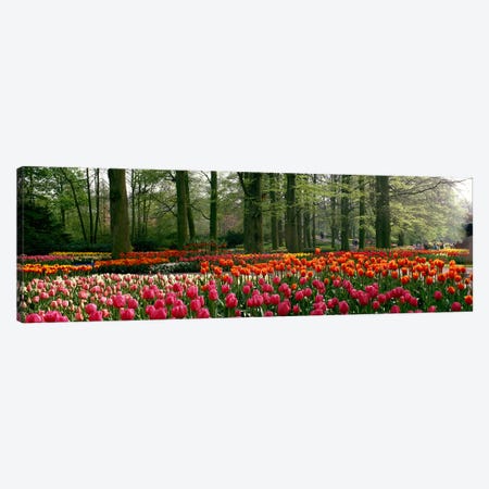 Keukenhof I, Lisse, South Holland, Kingdom Of The Netherlands Canvas Print #PIM3974} by Panoramic Images Canvas Print