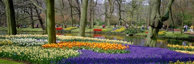 Keukenhof Garden Lisse The Netherlands by Panoramic Images canvas print