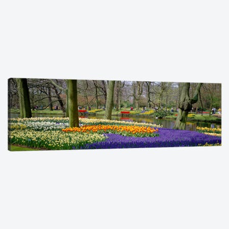 Keukenhof Garden Lisse The Netherlands Canvas Print #PIM3975} by Panoramic Images Canvas Print