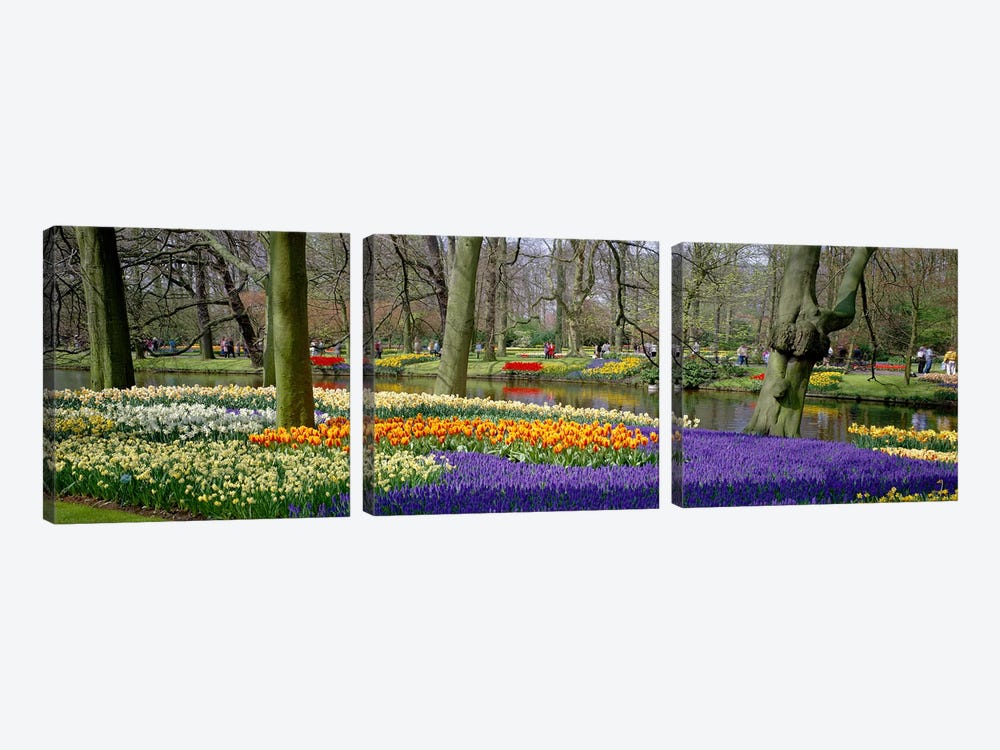 Keukenhof Garden Lisse The Netherlands by Panoramic Images 3-piece Canvas Art