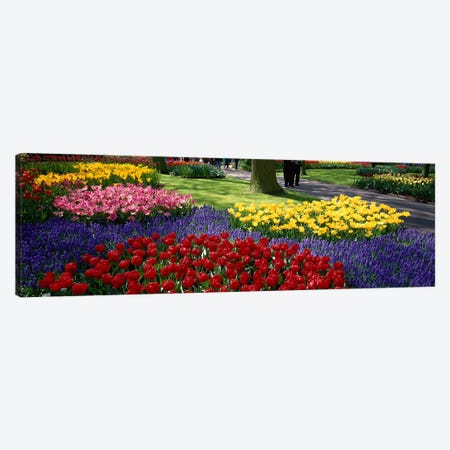 Keukenhof II, Lisse, South Holland, Kingdom Of The Netherlands Canvas Print #PIM3976} by Panoramic Images Art Print