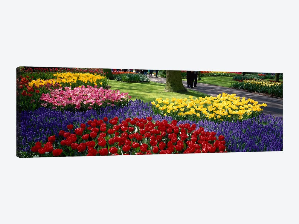 Keukenhof II, Lisse, South Holland, Kingdom Of The Netherlands by Panoramic Images 1-piece Canvas Print