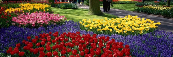 Netherlands: Keukenhof II, Lisse, South Holland, Kingdom Of The Netherlands by Panoramic Images