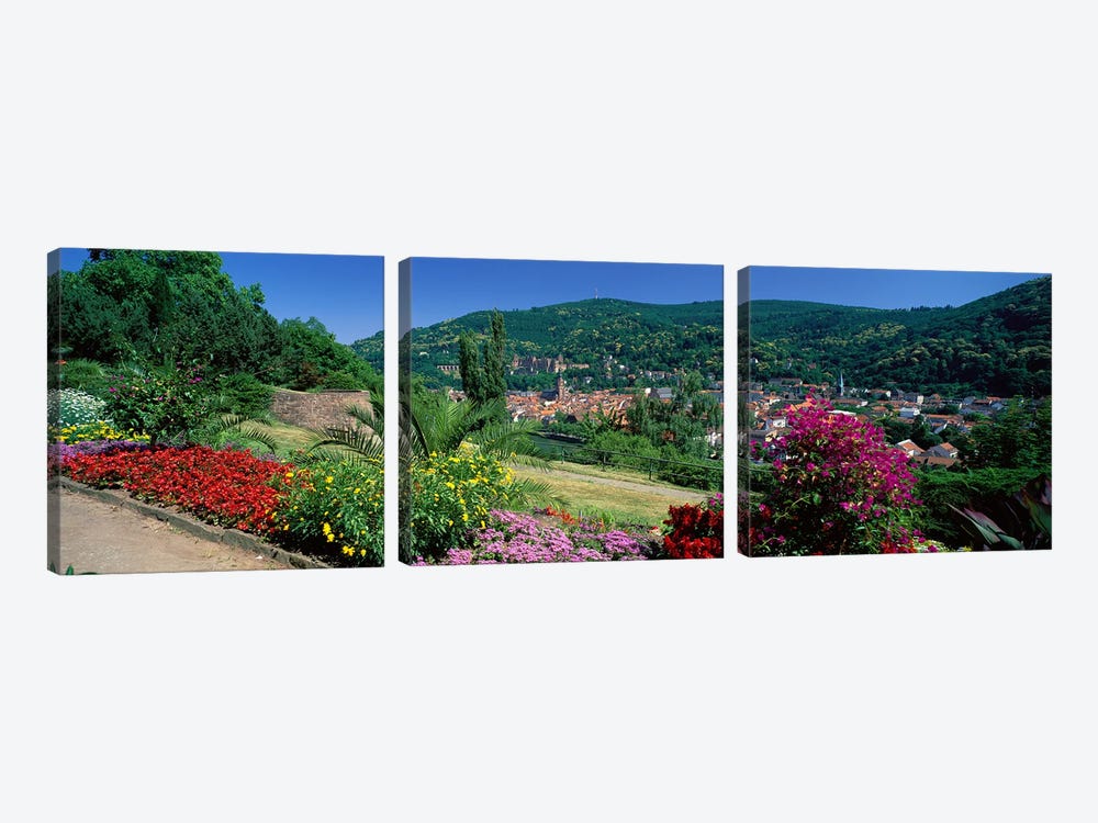 Heidelberg Germany by Panoramic Images 3-piece Canvas Art