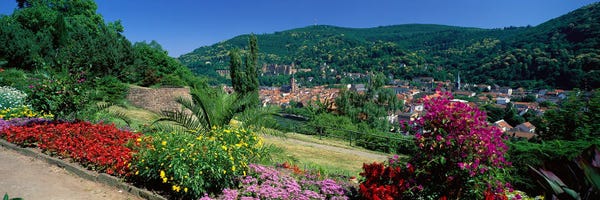 Heidelberg: Heidelberg Germany by Panoramic Images