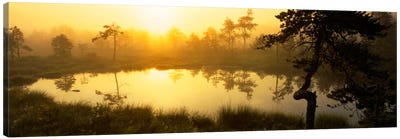 Foggy Woodland Sunrise And It's Reflection, Vastmanland, Sweden Canvas Art Print - Sweden Art