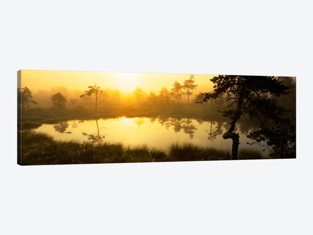 Foggy Woodland Sunrise And It's Reflection, Vastmanland, Sweden by Panoramic Images 1-piece Canvas Wall Art