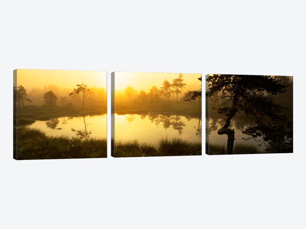 Foggy Woodland Sunrise And It's Reflection, Vastmanland, Sweden by Panoramic Images 3-piece Canvas Art