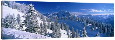 Wintry Mountain Landscape, Bavarian Alps, Bavaria, Germany Canvas Art Print - Snowy Mountain Art