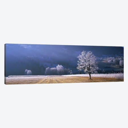 Frosted Countryside Morning, Tyrol, Austria Canvas Print #PIM4003} by Panoramic Images Art Print