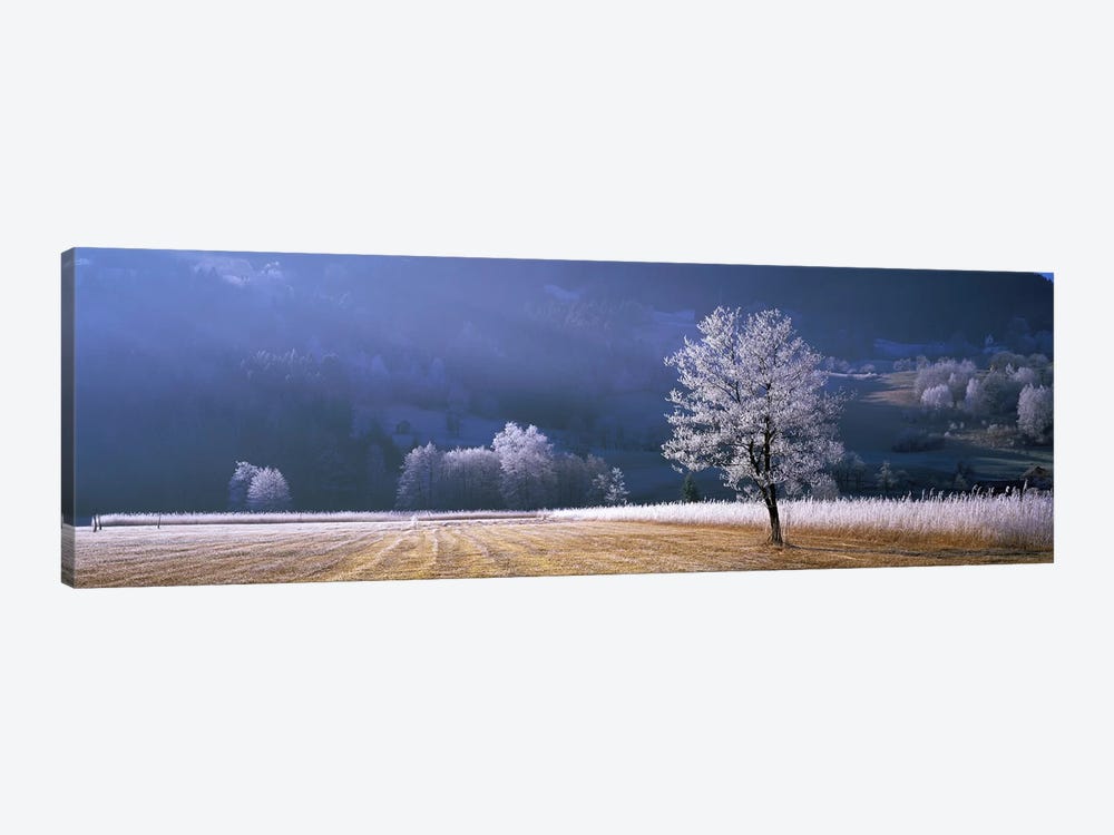 Frosted Countryside Morning, Tyrol, Austria by Panoramic Images 1-piece Canvas Art Print