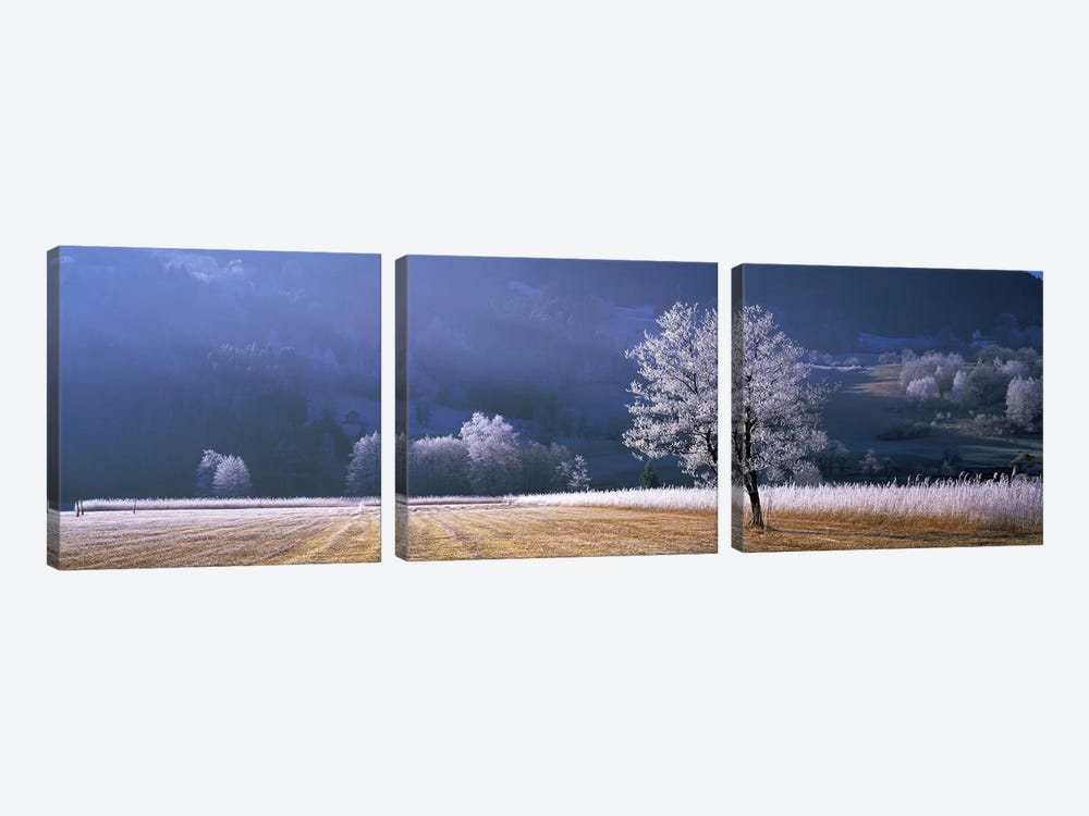 Frosted Countryside Morning, Tyrol, Austria by Panoramic Images 3-piece Canvas Print