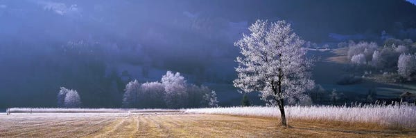 Frosted Countryside Morning, Tyrol, Austria